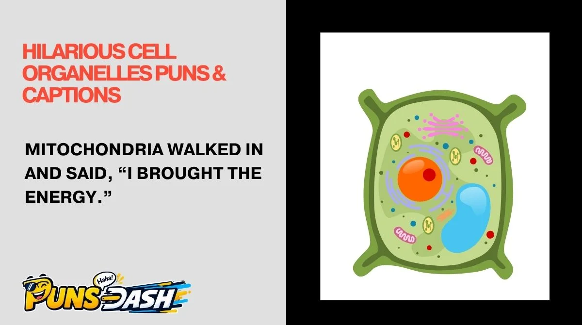Hilarious Cell Organelles Puns & Captions