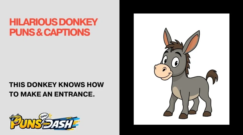 Hilarious Donkey Puns & Captions