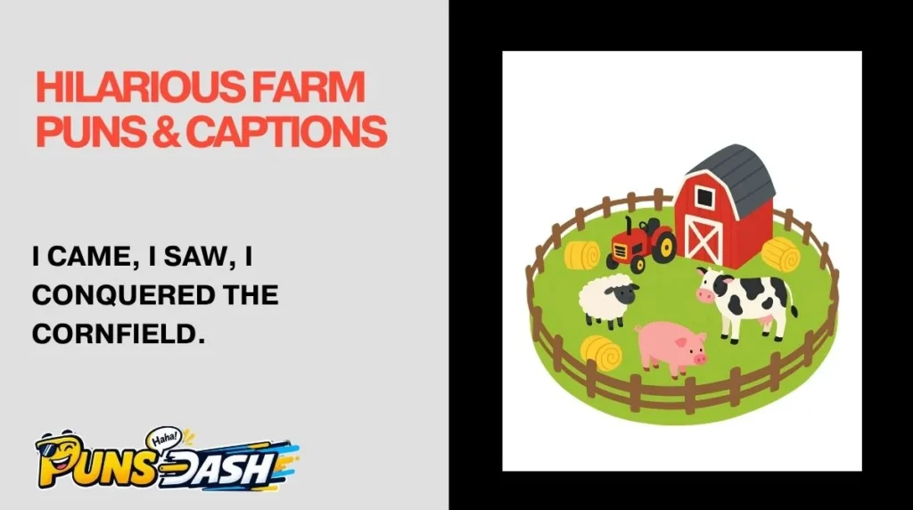 Hilarious Farm Puns & Captions