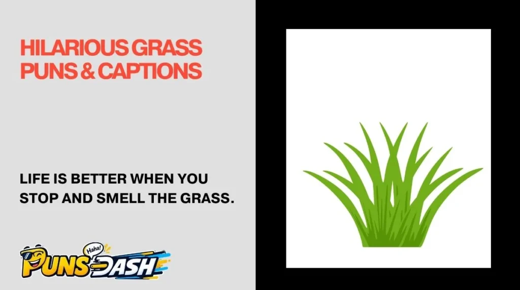 Hilarious Grass Puns & Captions