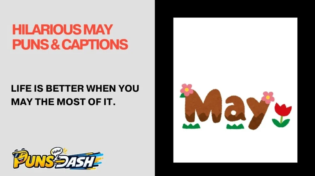 Hilarious May Puns & Captions