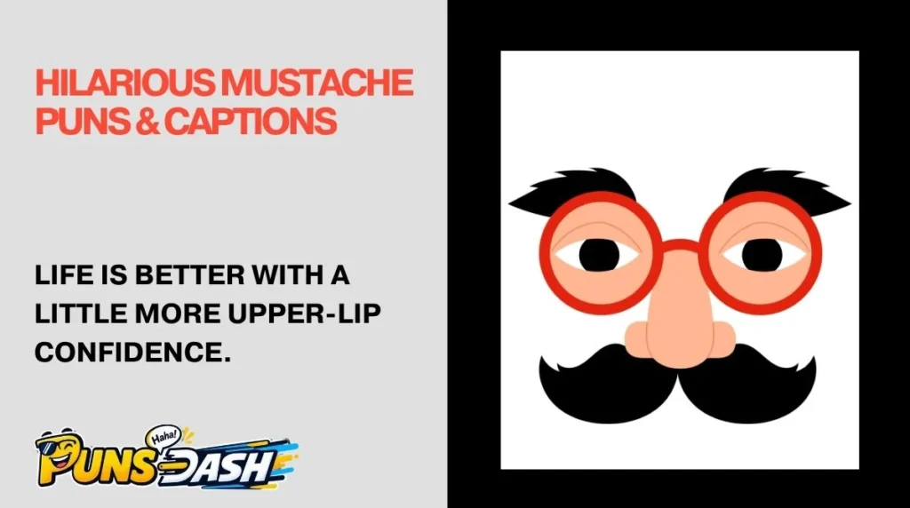 Hilarious Mustache Puns & Captions