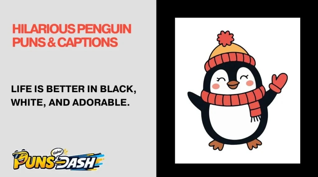 Hilarious Penguin Puns & Captions