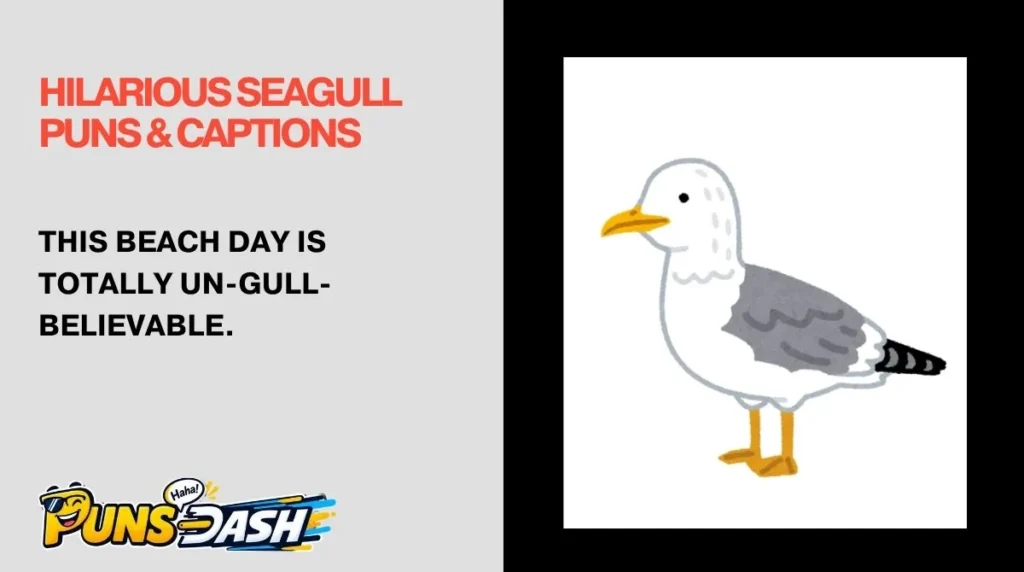 Hilarious Seagull Puns & Captions