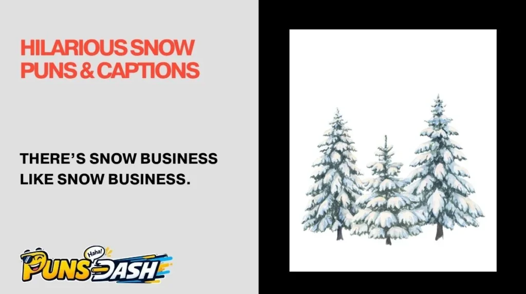 Hilarious Snow Puns & Captions