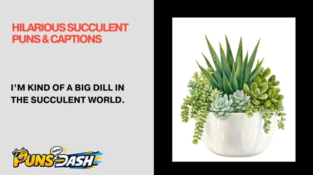 Hilarious Succulent Puns & Captions