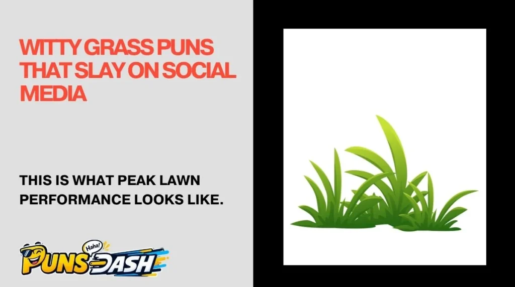 Witty Grass Puns That Slay on Social Media