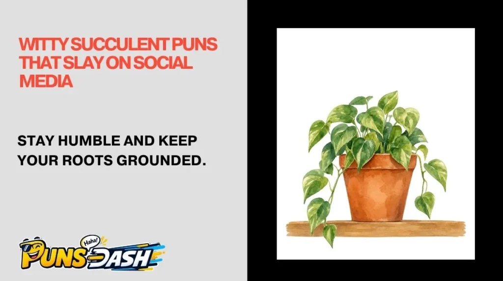 Witty Succulent Puns That Slay on Social Media