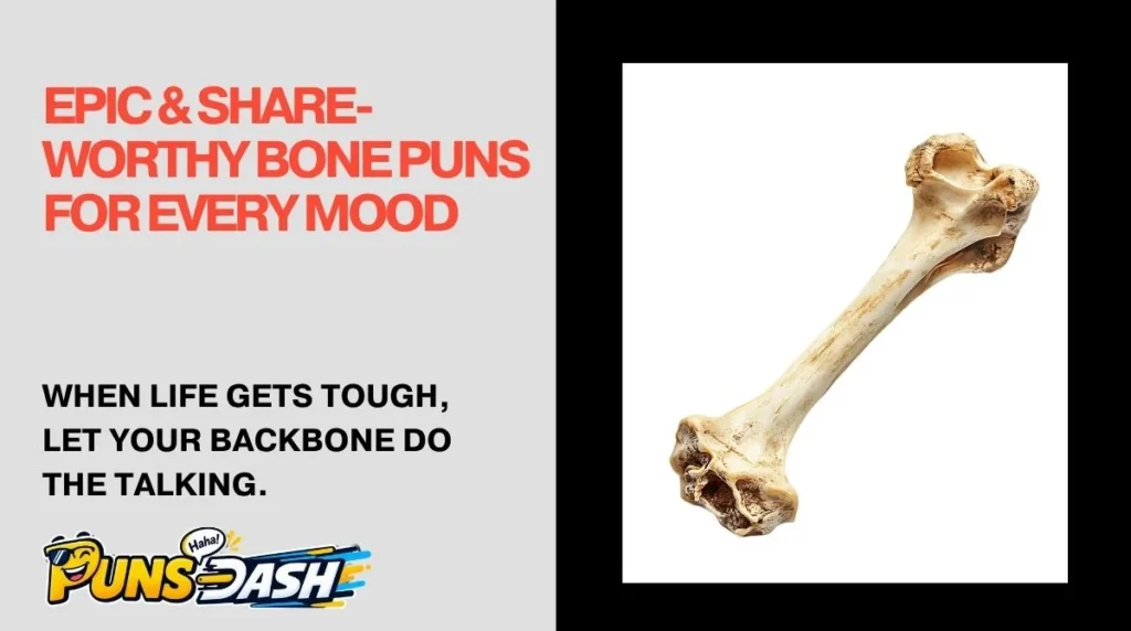 Epic & Share-Worthy Bone Puns for Every Mood