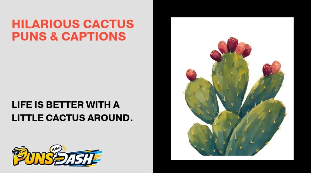 Hilarious Cactus Puns & Captions