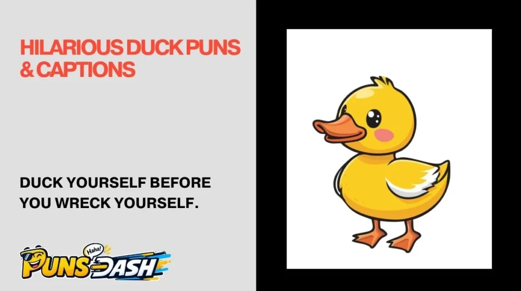 Hilarious Duck Puns & Captions