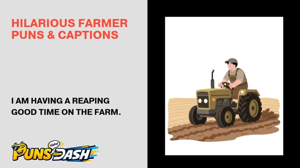 Hilarious Farmer Puns & Captions