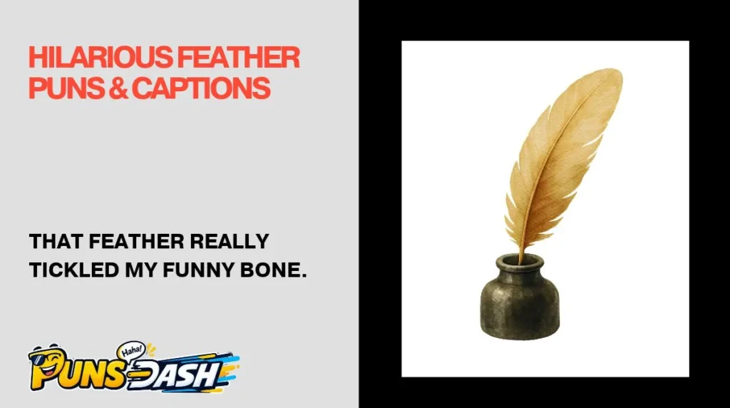 Hilarious Feather Puns & Captions 