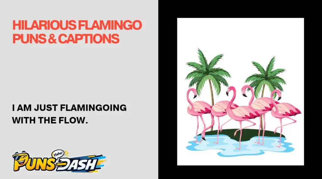 Hilarious Flamingo Puns & Captions