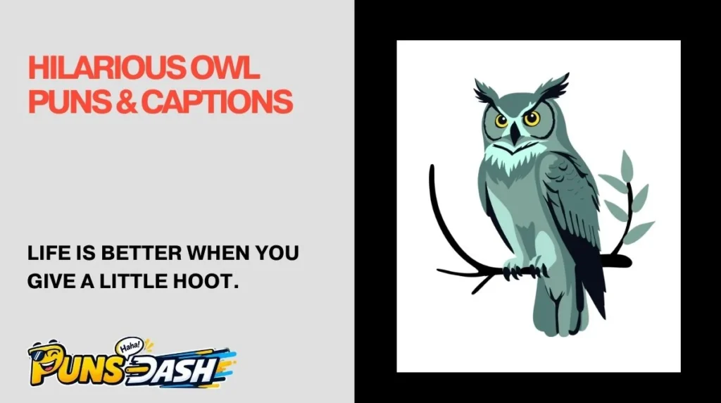 Hilarious Owl Puns & Captions