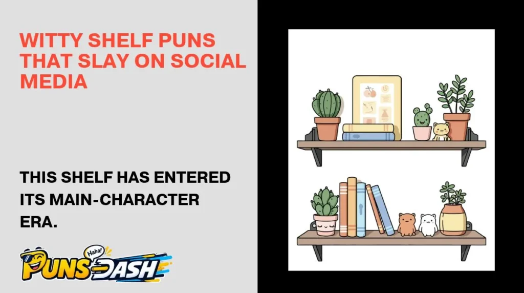 Witty Shelf Puns That Slay on Social Media