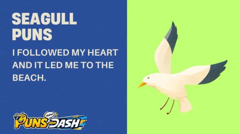 Seagull Puns