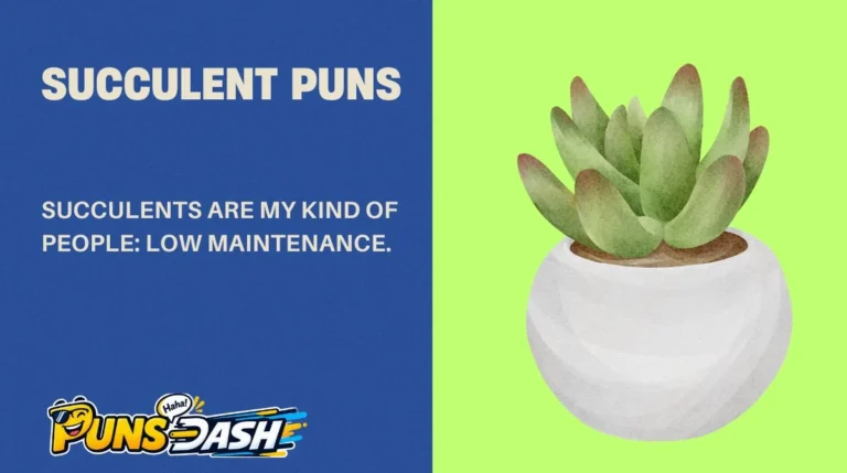 Succulent Puns